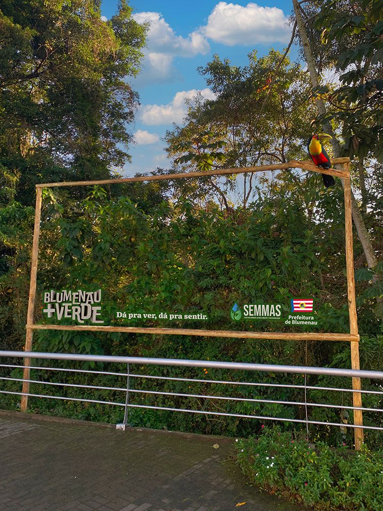  Mata nativa protagoniza outdoor da Free para a SEMMAS de Blumenau — imagem 3